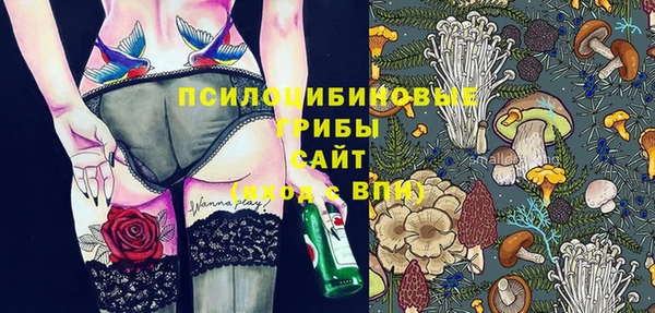 винт Магас