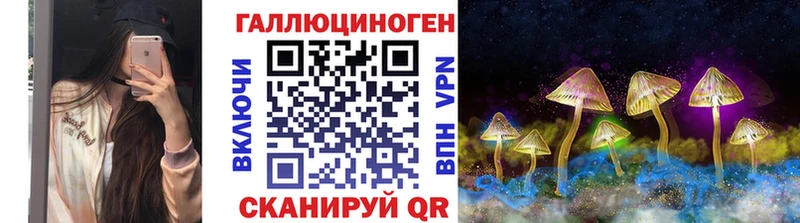 наркота  Абинск  Псилоцибиновые грибы GOLDEN TEACHER 